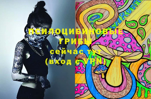 кокаин перу Дмитриев