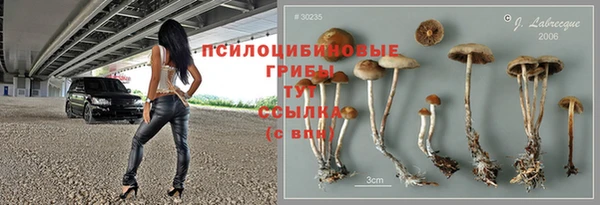 МДМА Дмитров