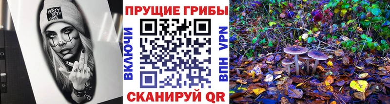 Купить закладки  Красавино  Галлюциногенные грибы прущие грибы 